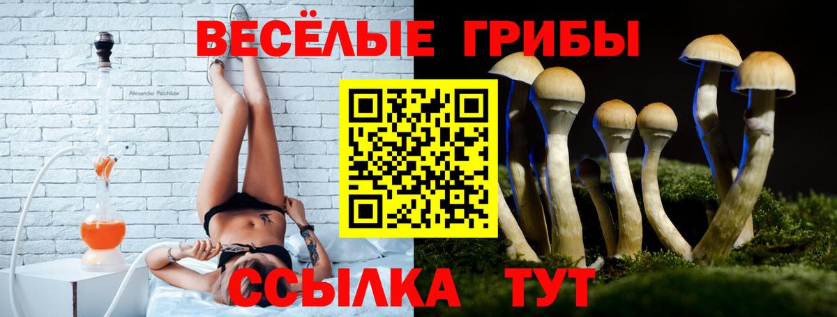 Псилоцибиновые грибы ЛСД Всеволожск